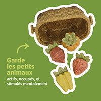 Jouet à mâcher comestible Living World, Panier de récolte, multicolore, 158 g (5,5 oz)