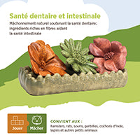 Jouet à mâcher comestible Living World, Lit de fleurs, multicolore, 150 g (5,2 oz)