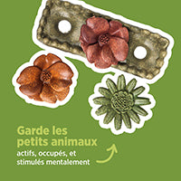 Jouet à mâcher comestible Living World, Lit de fleurs, multicolore, 150 g (5,2 oz)