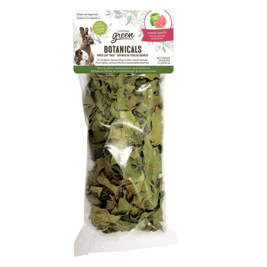 Gâteries de feuilles séchées Botanicals Living World Green, feuilles de goyavier, 10 g (0,35 oz)