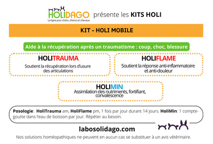 Holidago Kit Holi-Mobile