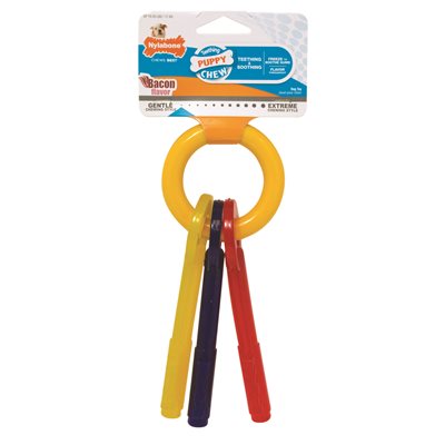 Nylabone pour Chiots Clés de Dentition Petit