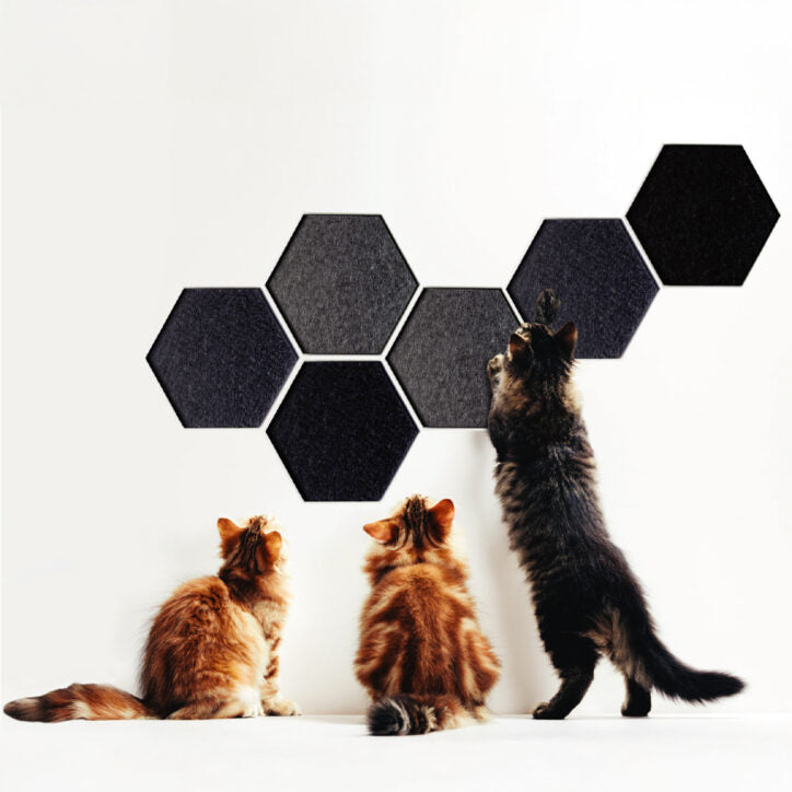 Noba Griffoir Mural – Hexagone – Noir (3 unités)