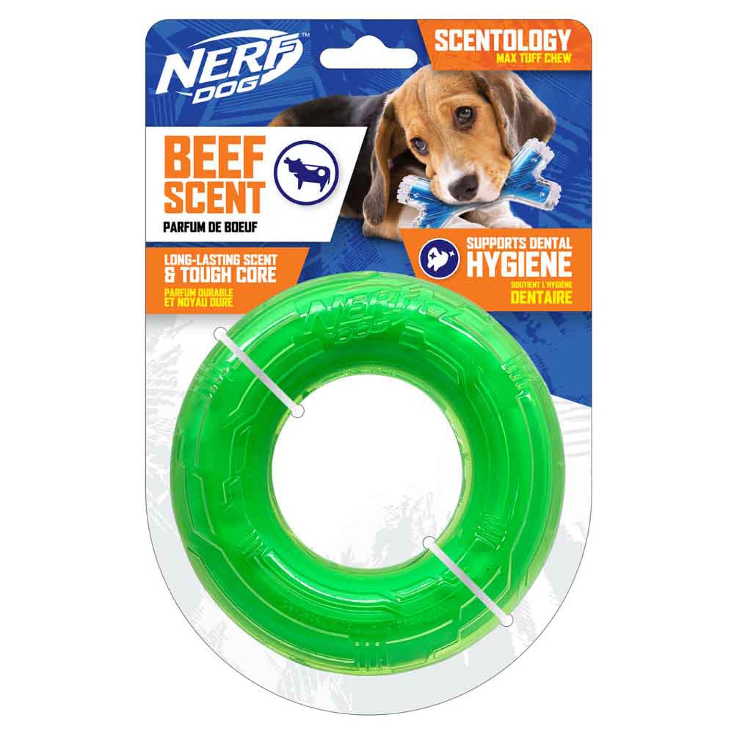 Nerf Dog Anneau Scentology parfum de bœuf, vert, petit, Diamètre 12,5 cm (5 po)