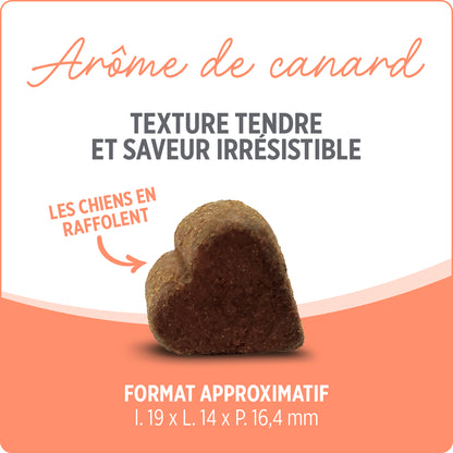 Suppléments Nutrience Care pour chiens, Probiotique+, 100 bouchées tendres, 400 g