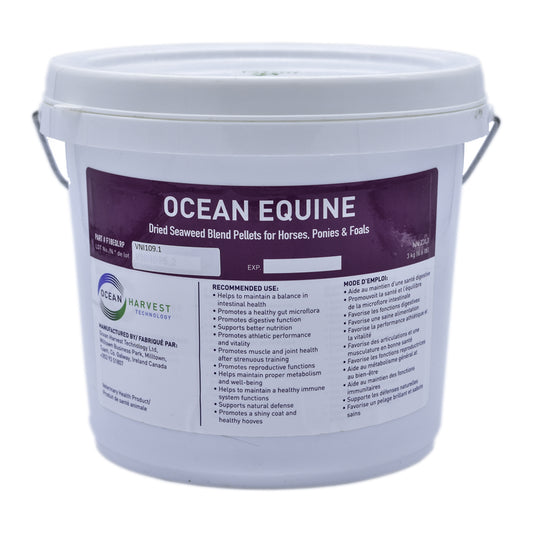 Lozana Santé Ocean Équin 3Kg