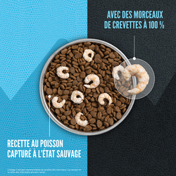 ORIJEN Wild Reserve Recette au poisson capturé à l’état sauvage 2,9 kg