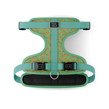 Tella & Stella Harnais Ajustable Chien a motif
