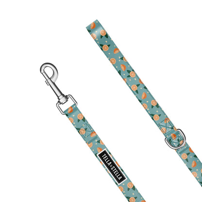 Tella & Stella Laisse Pour Chien Collection Motif