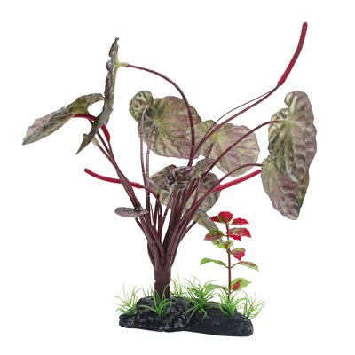 Lotus Sacre Rouge Fl, G, 25 Cm Avec Base