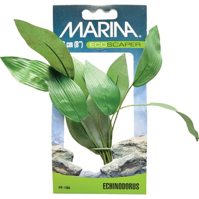 Marina Ecoscaper Echinodorus Spp 20Cm-V