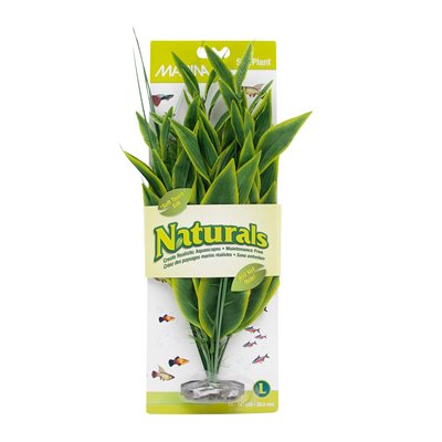 Ma Ntl Grn Dracena Silk Plant, Lge