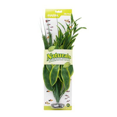 Ma Ntl Grn Dracena Silk Plant, Xl