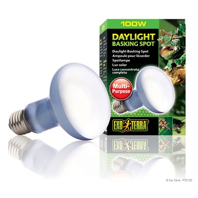 Day-Glo Lampe Pour Lézarder 100W