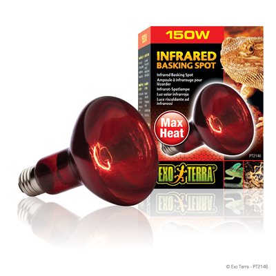Heat-Glo Lampe Infrarouge Nocturne 150W