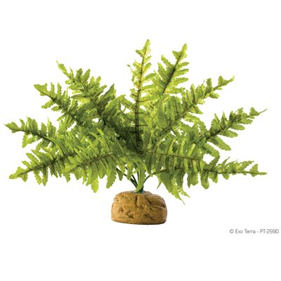 Exo Terra Boston Fern, Small-V