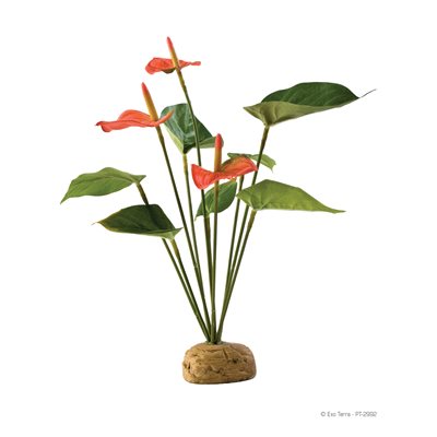 Exo Terra Anthurium Bush-V