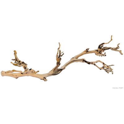 Exo Terra Forest Branch,Lrg, 60Cm,24In-V