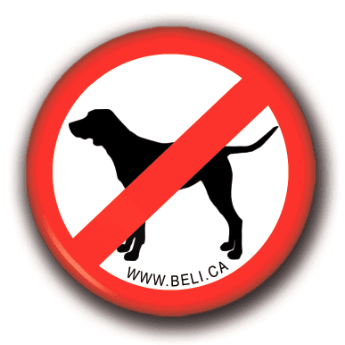 Beli Concept Macaron – Pas de chien