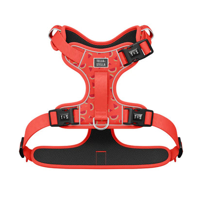 Tella & Stella Harnais Ajustable Chien a motif