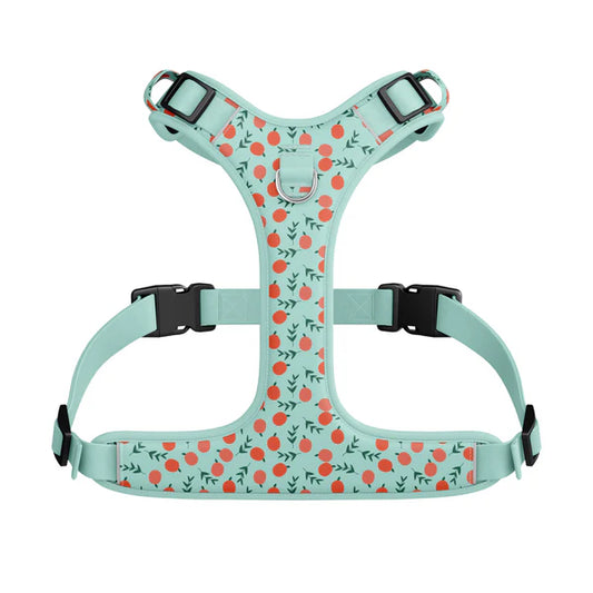 Harnais hybride pour chien Pêche