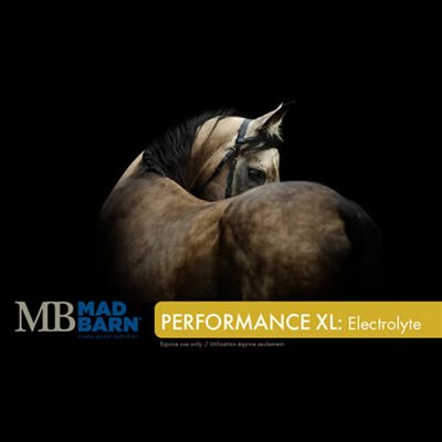 Mad Barn Performance Xl Electrolyte 1Kg