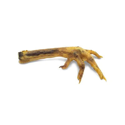 Pied De Poulet Géant