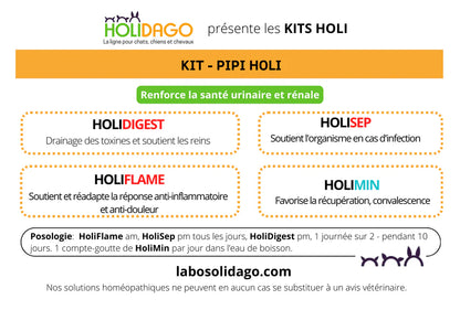 Holidago Kit Pipi-Holi