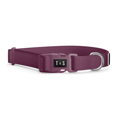 Tella & Stella Collier pour chien Collection Couleur