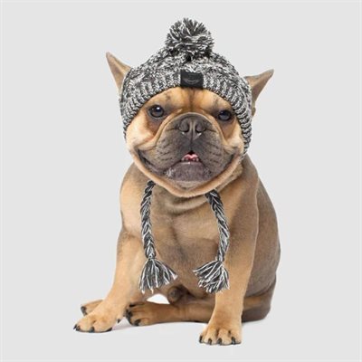 Canada Pooch Polar Pom Pom Hat Charcoal