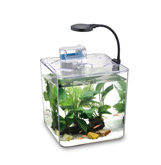 Nubios Bocal Carré à betta avec pompe et lumière 4L