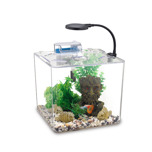 Nubios Bocal carré à betta avec pompe et lumière 12L