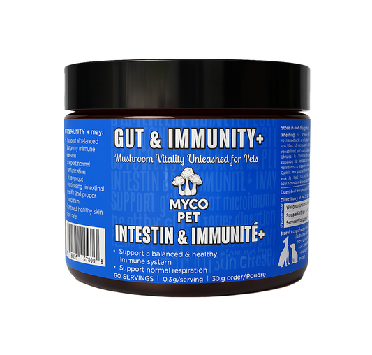 Myco Pet Intestin et Immunité+ 30g