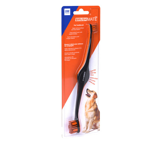 Paw Ready BrushMate Brosse à dent - Orange