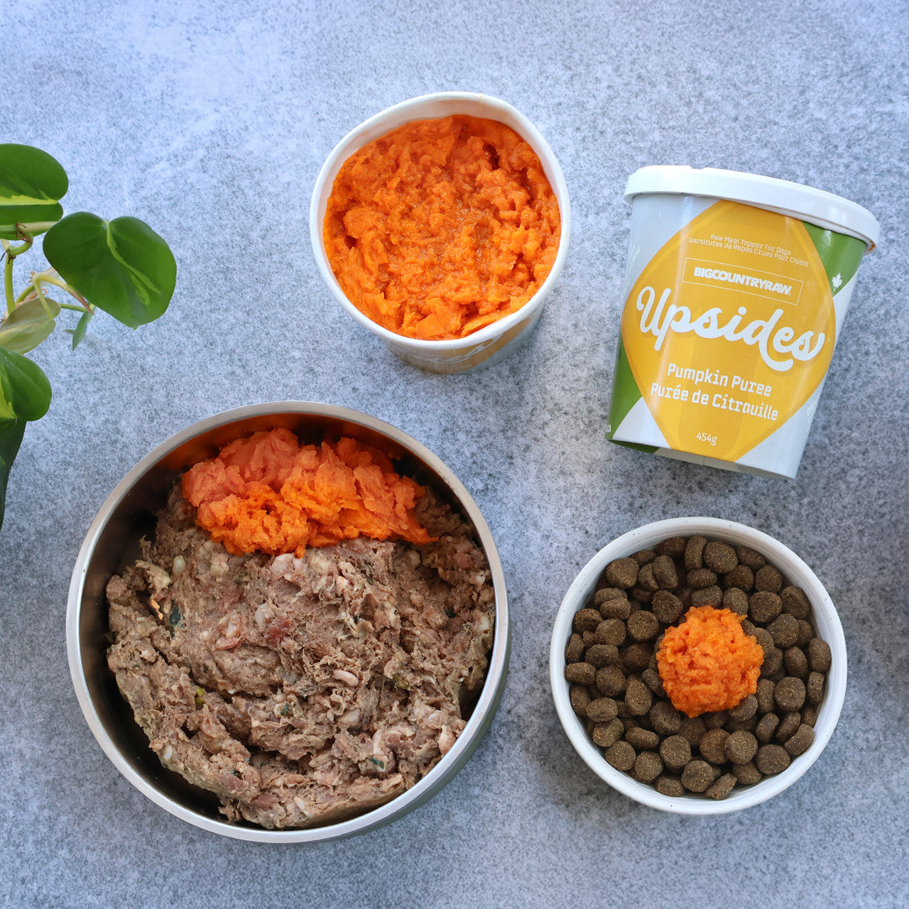 Big Country Raw Garniture alimentaire à la purée de citrouille Upsides - 454 g