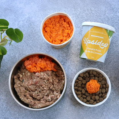 Big Country Raw Garniture alimentaire à la purée de citrouille Upsides - 454 g