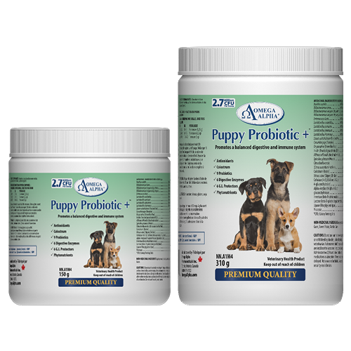 Omega Alpha Puppy Probiotics+