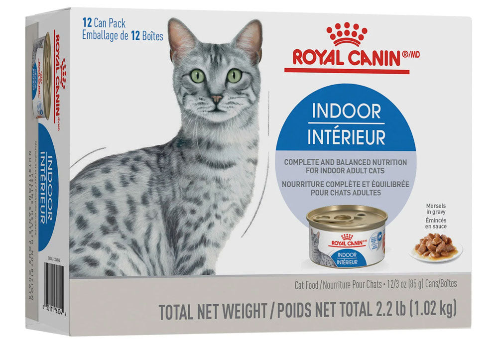 Royal Canin Émincé en sauce pour chat – adulte intérieur multipack