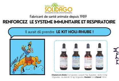 Holidago Kit Holi Rhube