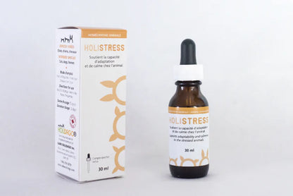 Holidago Kit Bon Voyage