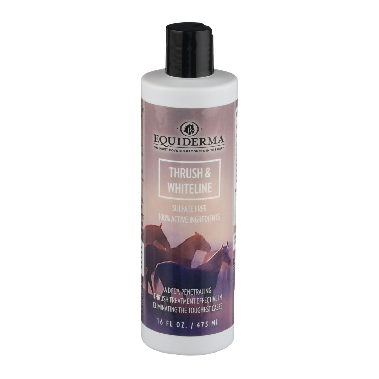 Equiderma pâte traitante pour sabot 16oz
