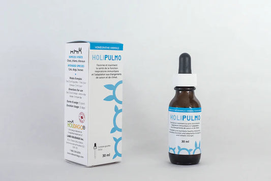 Holidago HoliPulmo - pour un système respiratoire en santé