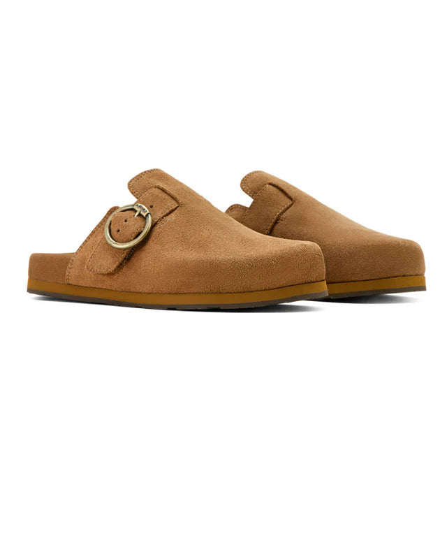 Ariat Caramel Suede Country Mule femme