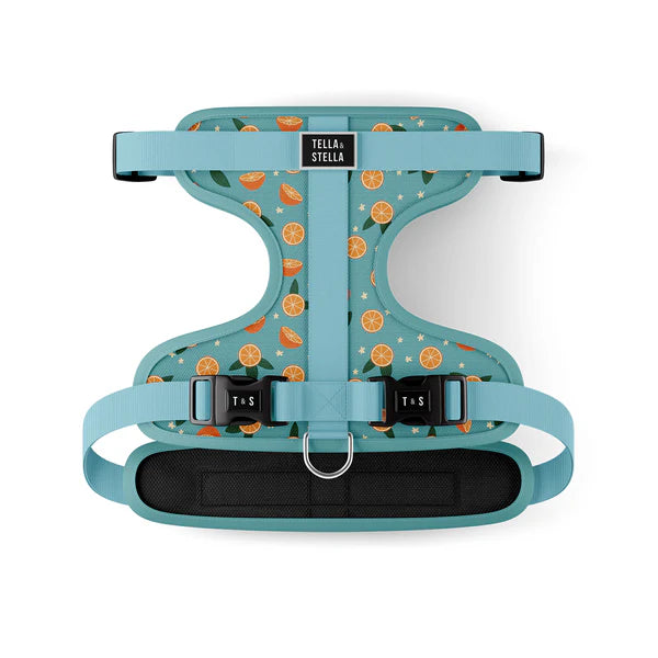 Tella & Stella Harnais Ajustable Chien a motif