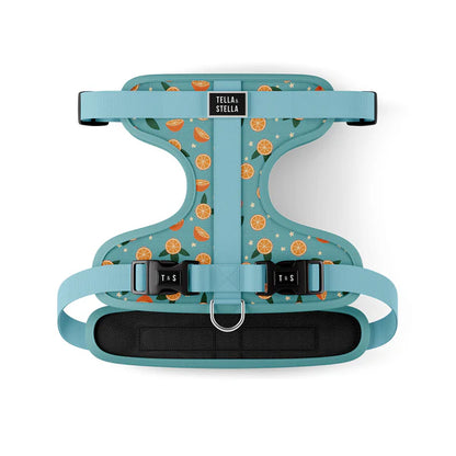 Tella & Stella Harnais Ajustable Chien a motif