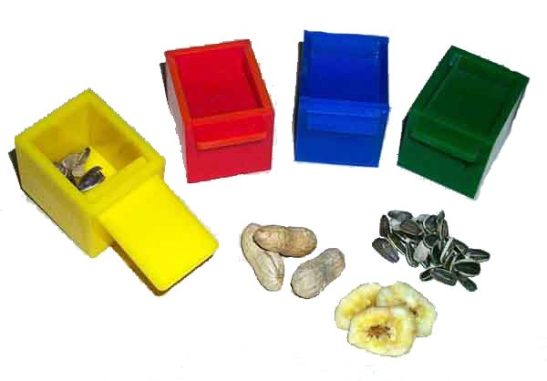 Zoomax Jouet Oiseaux - 4 cubes Couleur(jaune/rouge/bleu/vert)(1.75")