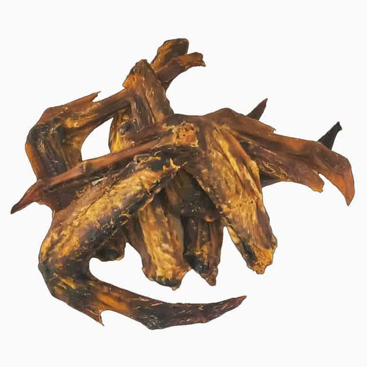 Tubby K9 Aile de Canard (2 articulations)