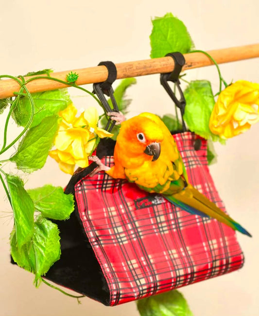Dabadoo Maison Oiseau