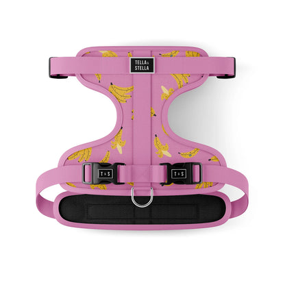 Tella & Stella Harnais Ajustable Chien a motif