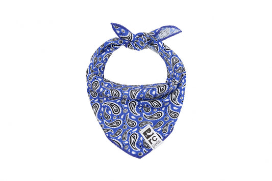 Rc Pets Zephyr bandana rafraîchissant Rebel Blue Petit/Moyen